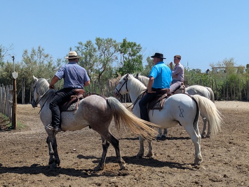 17 06 26 Voyage Camargues B cp