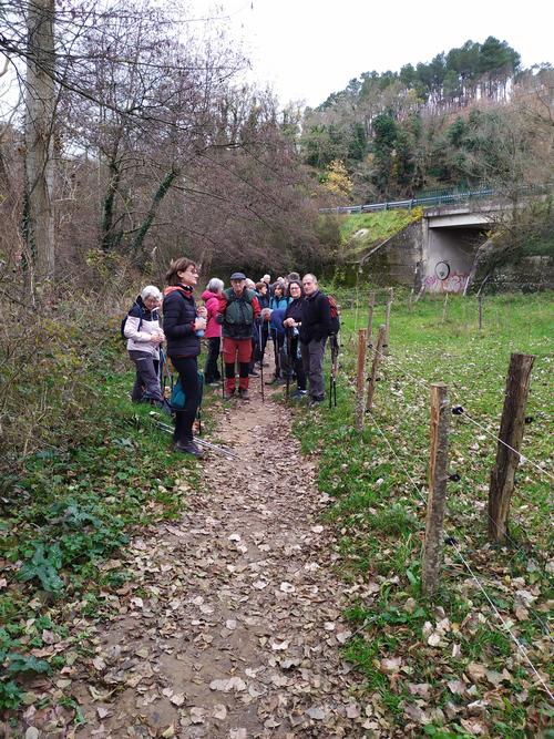 Bois Sizay 10 12 25 B