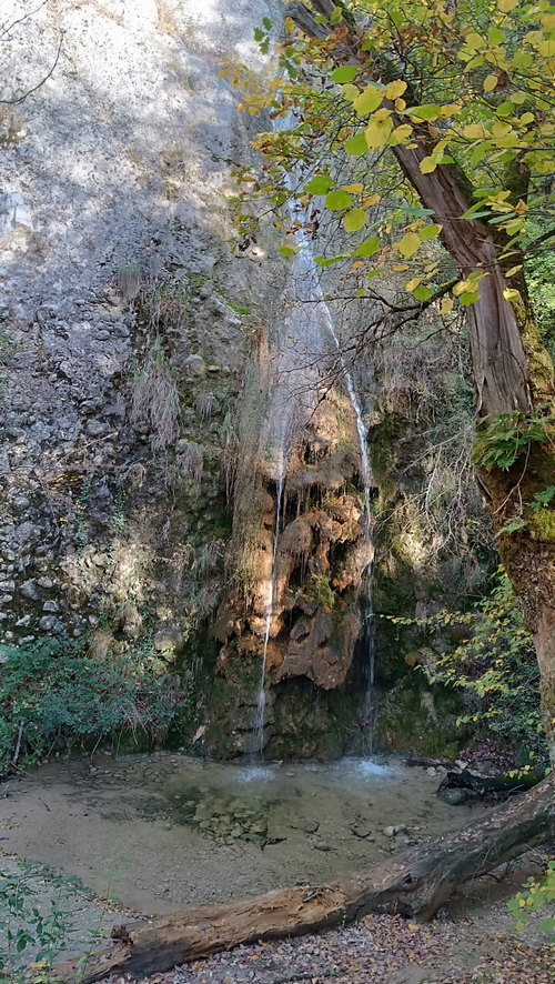 Baume Cornillane 05 11 A