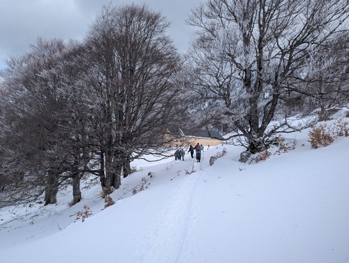 Ferme de Fessol B 01 04 26 comp