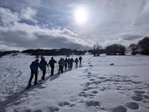 Le Grand Echaillon Léoncel B 03 02 26 comp