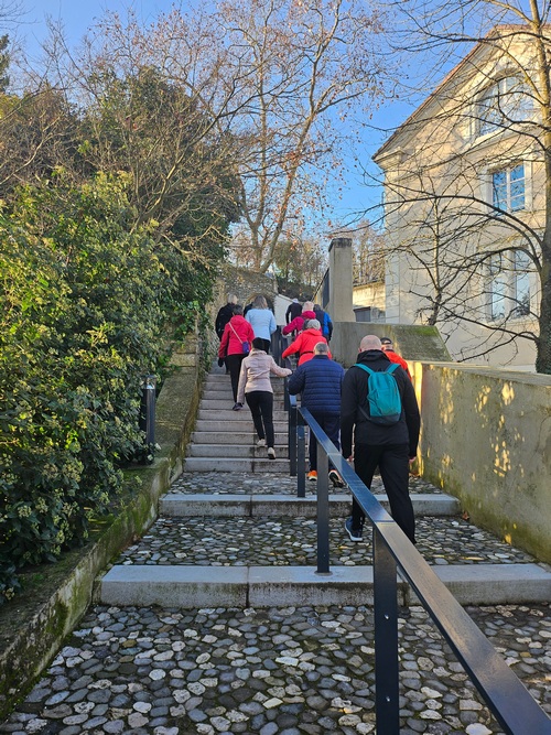 Marche Sportive B 15 01 26 comp