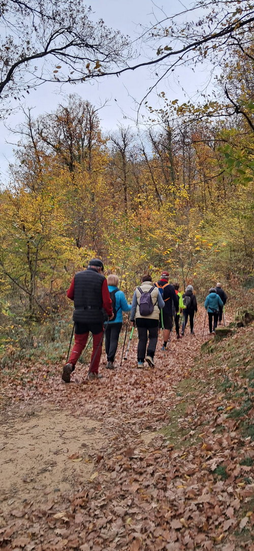 MN bois Ussiaux 14 11 25 B