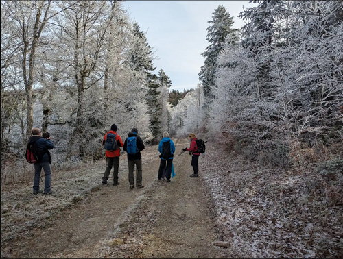 Serre Plumé Col de la Chau 19 11 25 A