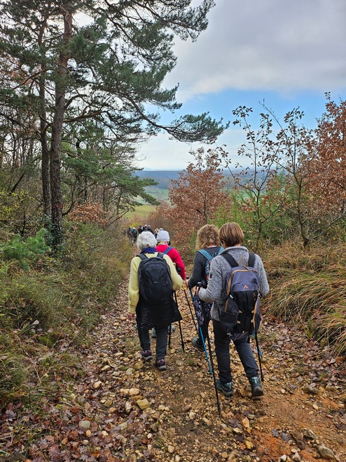 St Vincent la Comm 17 12 25 A